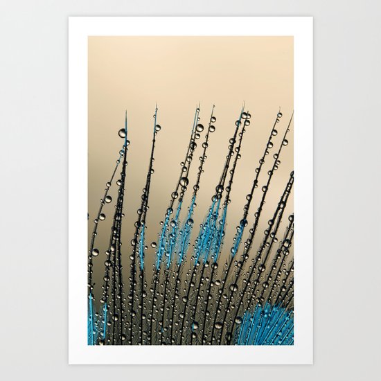Feather Droplets Art Print