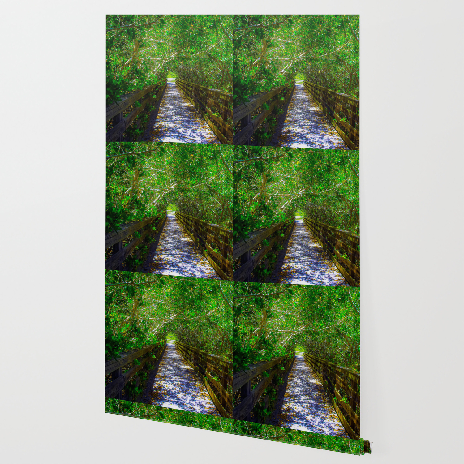 Tree Canopy Wallpaper - Wallpaper Collection