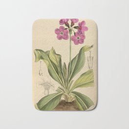 Primula sinopurpurea 1918 Bath Mat | Plants, Illustration, Graphite, Drawing, Nature, Realism, Scientificillustration, Vintage, Other, Botany 