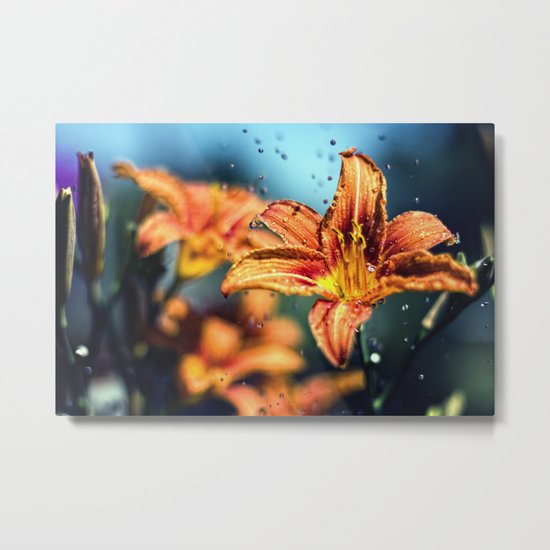 Lilien Metal Print