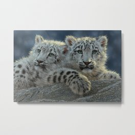 Snow Leopard Cubs Metal Print