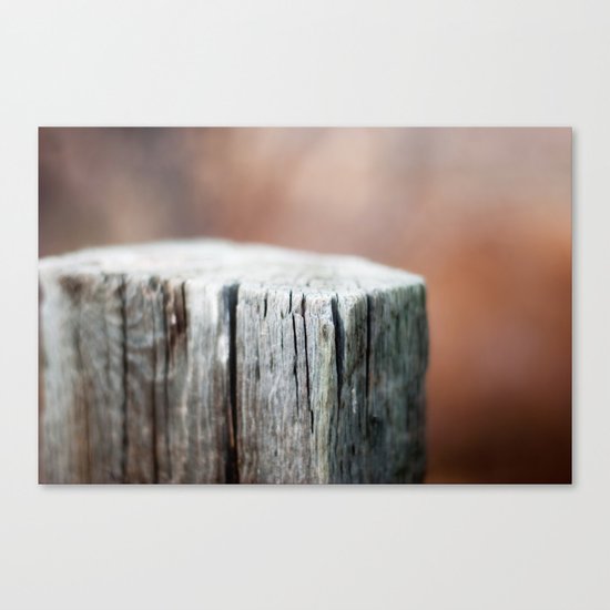 Fence Post Canvas Print