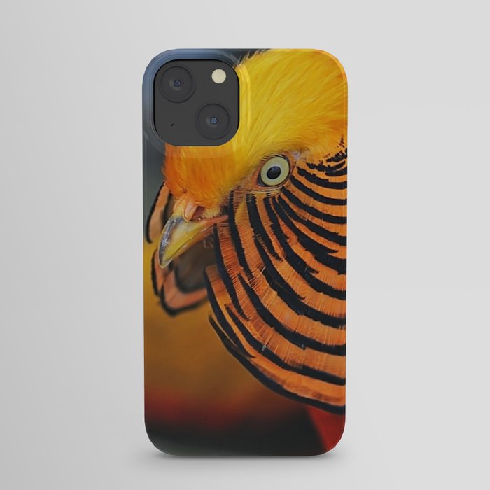pheasant iPhone Case