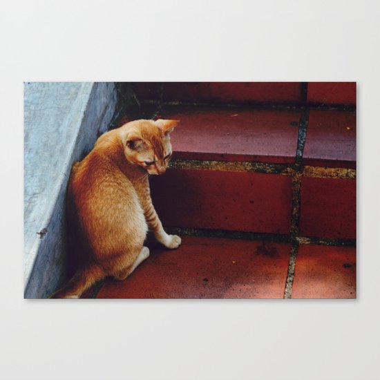Cats Canvas Print