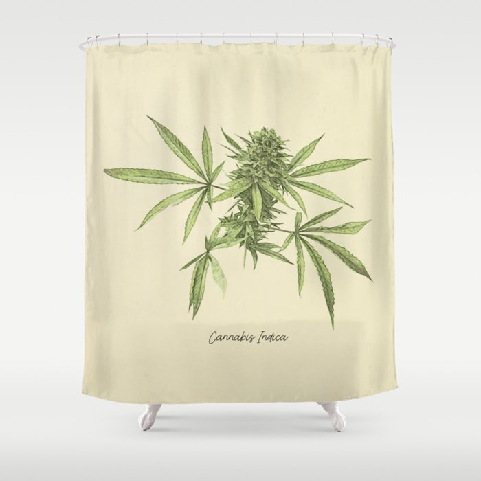 Cannabis Sativa Marijuana Hemp Posters 12 Print Set Botanical Art Print