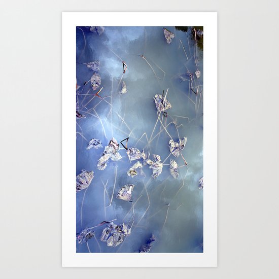 winter lotus Art Print