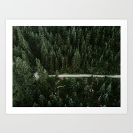 Trail through the woods Art Print