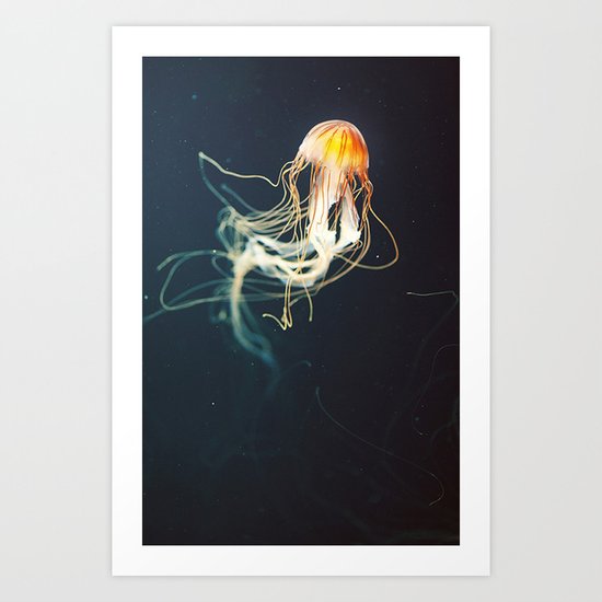Jellyfish Art Print