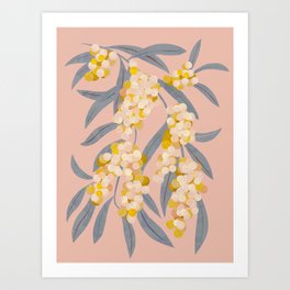  Acacia retinoides plant Art Print