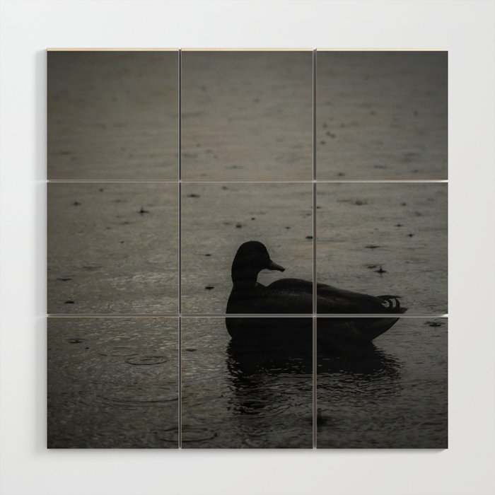 Lonely Duck Wood Wall Art