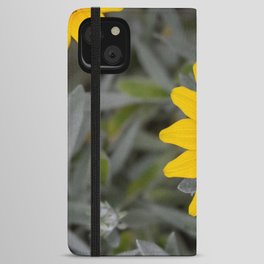 Yellow Gazania Daisy Flower iPhone Wallet Case
