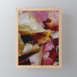 Autumn colour  Framed Mini Art Print