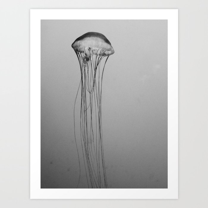 Black and White Jellyfish Art Photography, Drifting Through Time and Space Art Print
