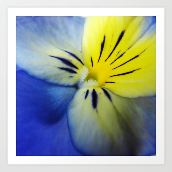 Flower Blue Yellow Art Print