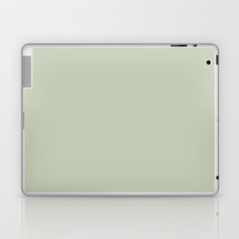 Light Gray-Green Solid Color Pantone Fog Green 13-0210 TCX Shades of Green Hues Laptop Skin