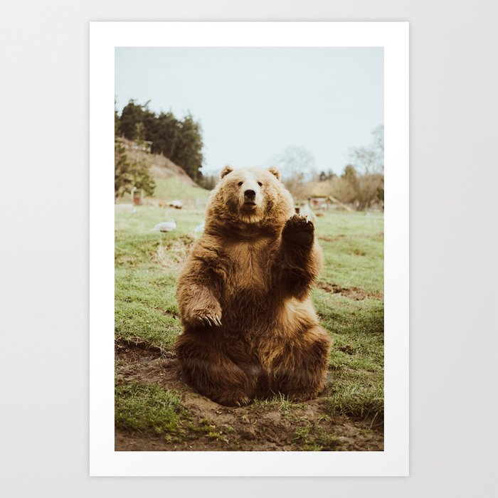 Hi Bear Wood Wall Art by beccatapert