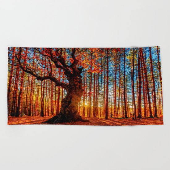 Majestic woods Beach Towel