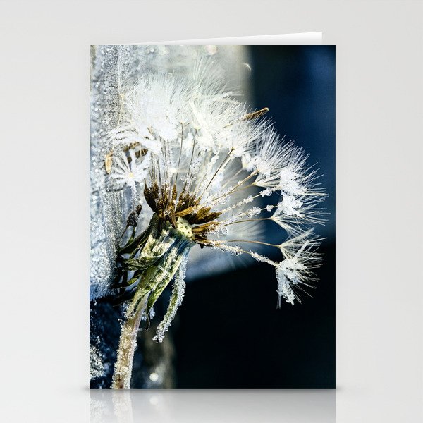 frost dance Stationery Cards