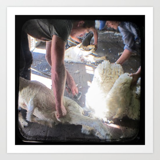 The Shearer - Through The Viewfinder - (TTV) Art Print