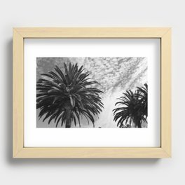 Black and White Palms  Recessed Framed Print