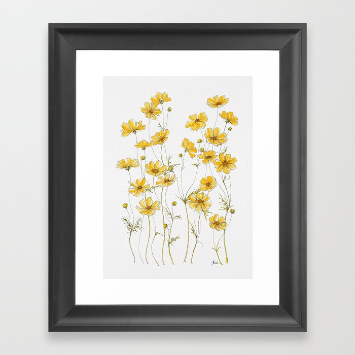 Yellow Cosmos Flowers Gerahmter Kunstdruck | Drawing, Ink-pen, Acrylic, Muster, Cosmos, Blumen, Blume, Floral, Yellow, Wild-flowers