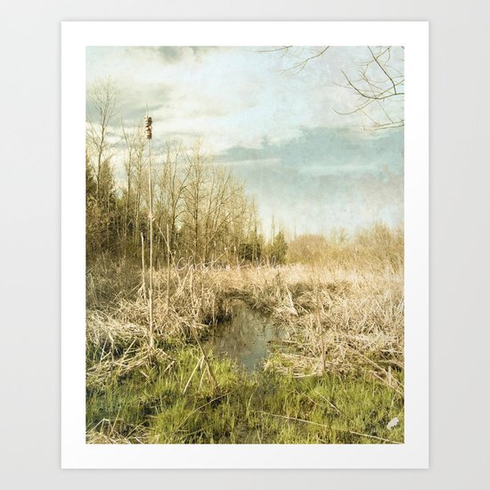 Peace and Solitude. Art Print