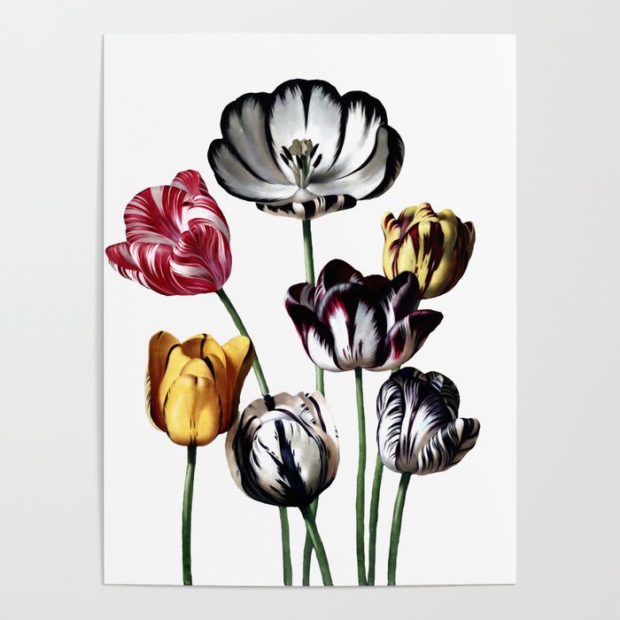 Vintage Tulips Poster