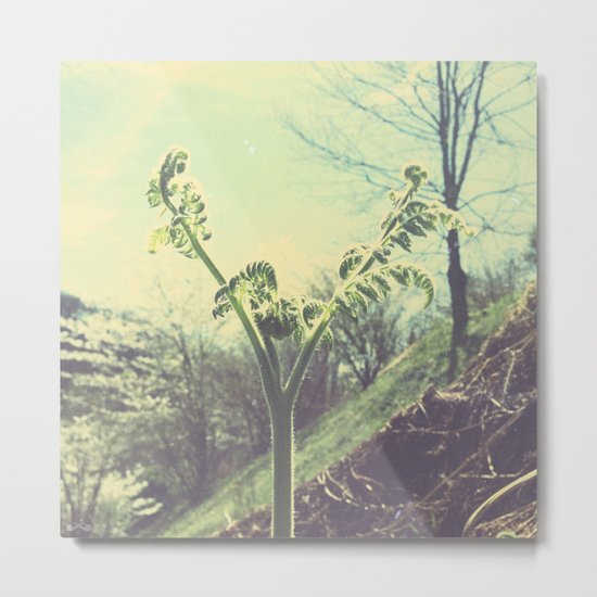 Leptosporangiate. Metal Print