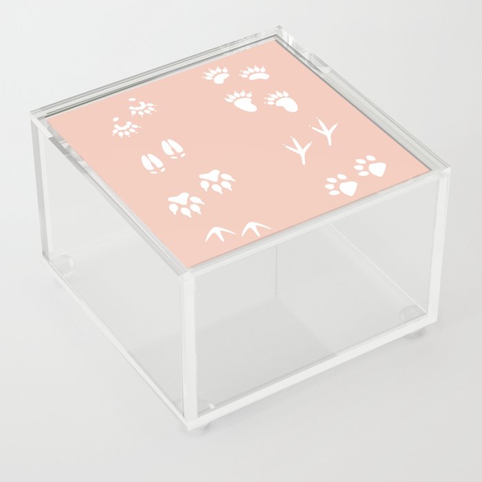 Tracks (Graze) Acrylic Box