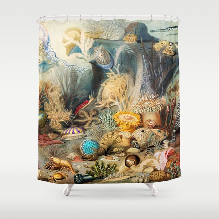 Sea Life of the Great Ocean Reefs of the world underwater seascape painting by James Sommerville Shower Curtain