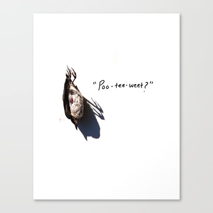 Birds and Kurt Vonnegut Canvas Print