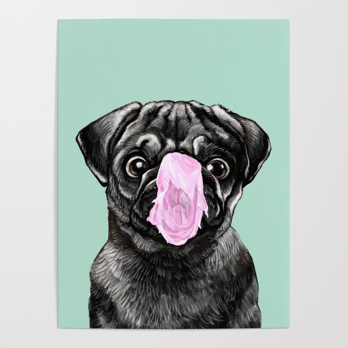 Bubble Gum Popped on Black Pug (3 in series of 3) Poster