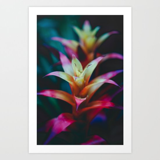 Light the Night Art Print