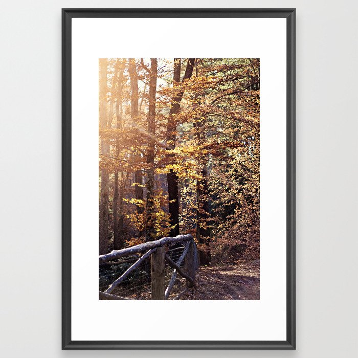 Autumn Daze Framed Art Print