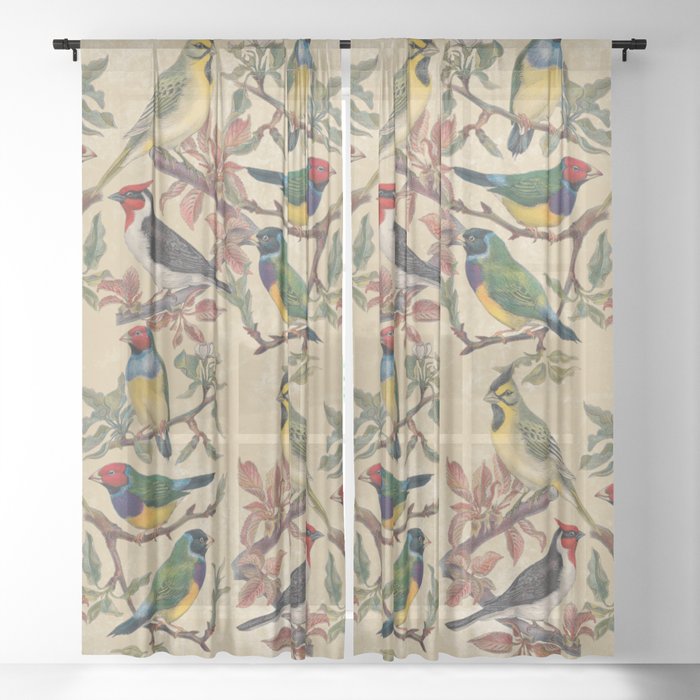 Sheer Curtain