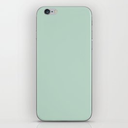 Light Aqua Green Gray Solid Color Pantone Misty Jade 13-6008 TCX Shades of Blue-green Hues iPhone Skin