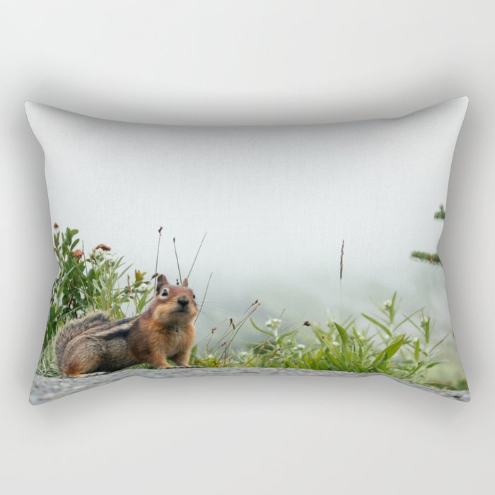 Rectangular Pillow