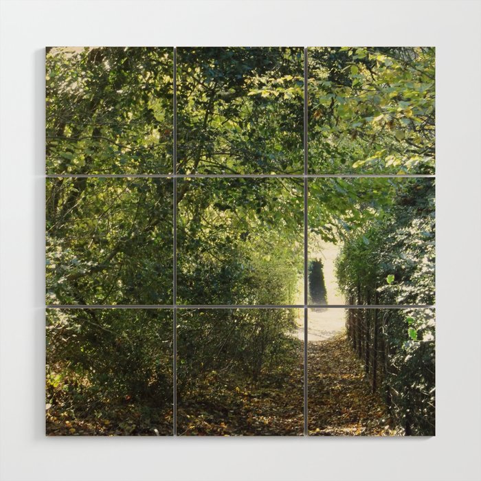 ENCHANTED TREE TUNNEL Wood Wall Art