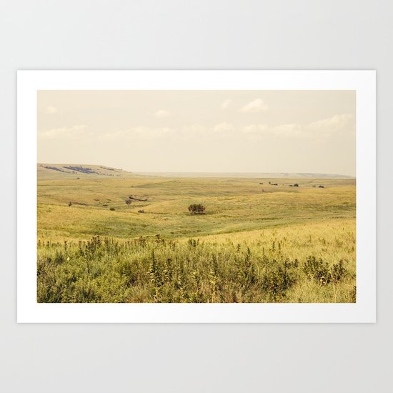 Western Valley Art Print