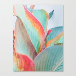 Pastel Leaves Canvas Print