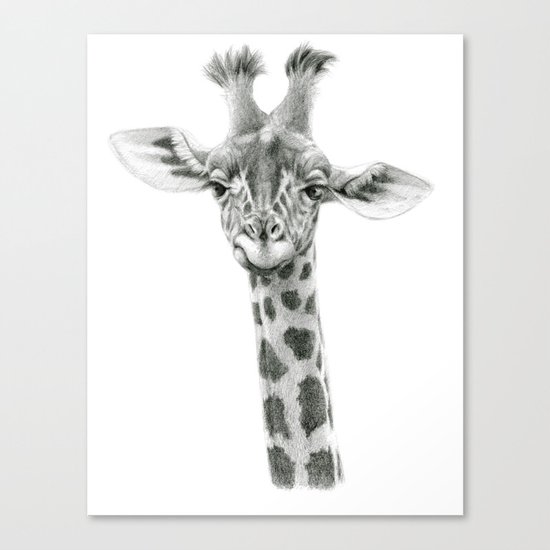 Young Giraffe G2012-053 Canvas Print