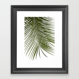 Palm Leaves I Framed Art Print