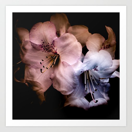 Summer Flowers Art Print