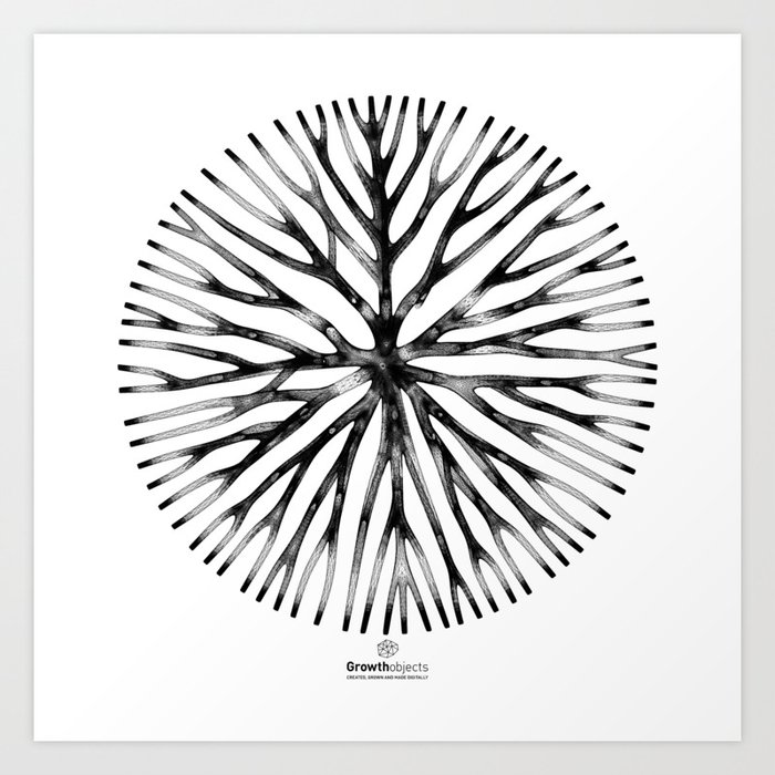 GEOMETRIC NATURE: LILY w/b Art Print by growthobjects