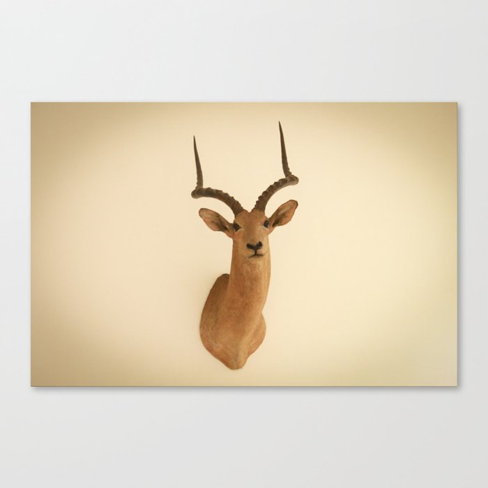 deer Canvas Print