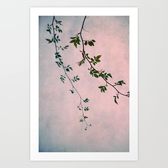decembro Art Print