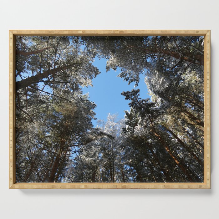 Scottish Highlands Snow Filled Forest Canopy Serving Tray