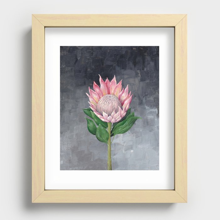 Protea Flower Painting Recessed Framed Print