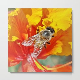 abeille (Deux)  Metal Print | Bees, Garden, Digital, Botanical, Entomology, Photo, Abeille, Vacation, Travel, Travel Photography 
