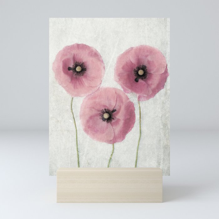 Pink Vintage Poppies II Mini Art Print